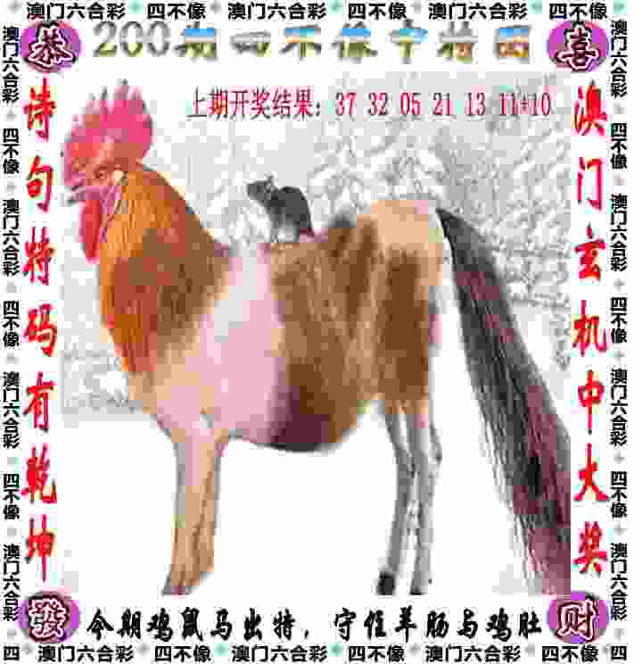 郑钦文因身体原因退出宁波网球公开赛